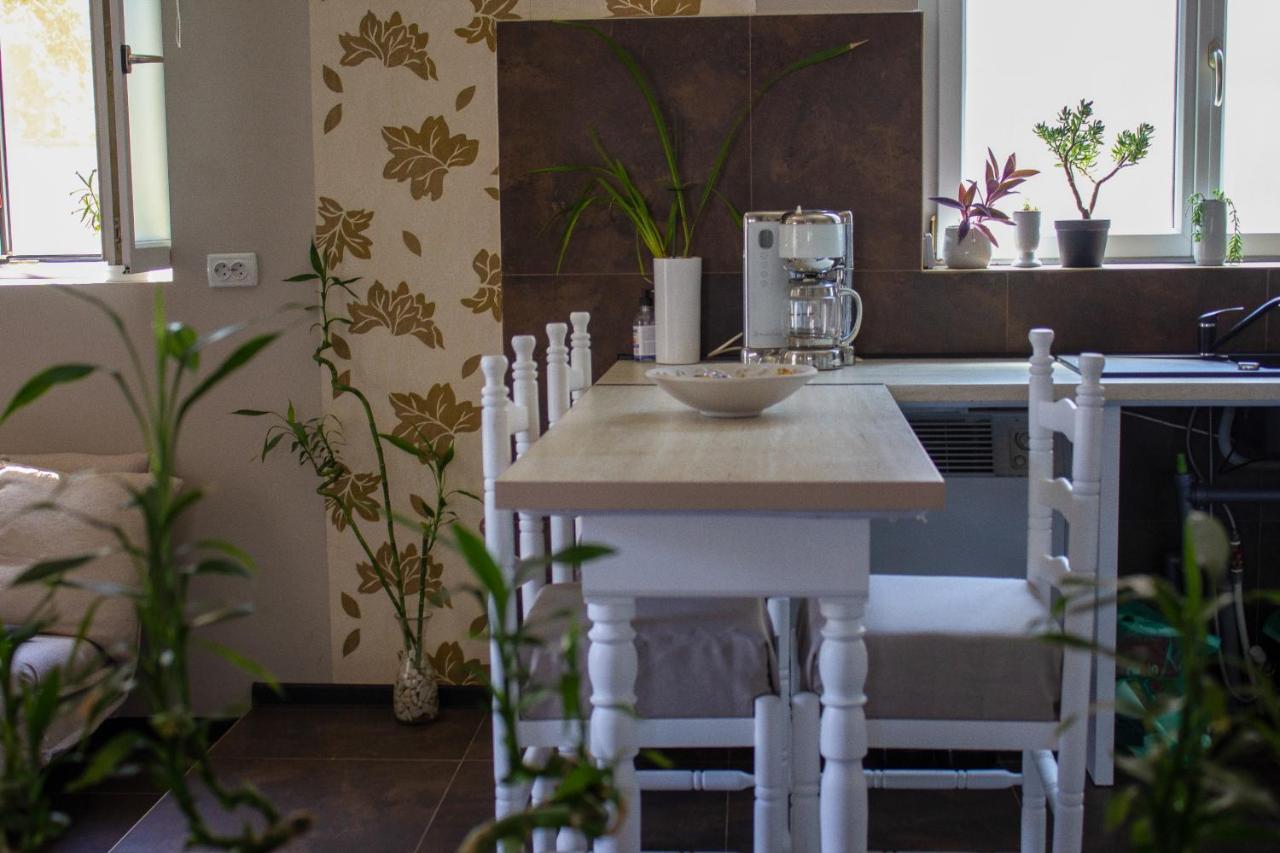 Yox Apartment 1 Oradea Eksteriør billede