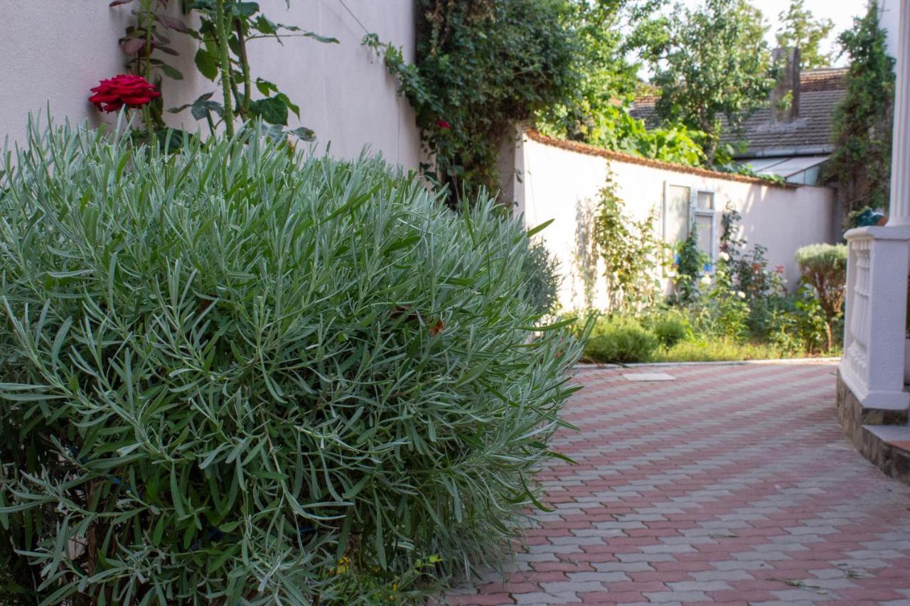 Yox Apartment 1 Oradea Eksteriør billede